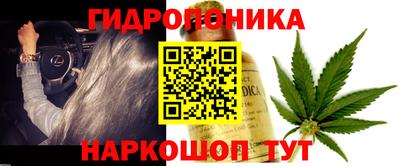 мяу мяу мука Комсомольск-на-Амуре