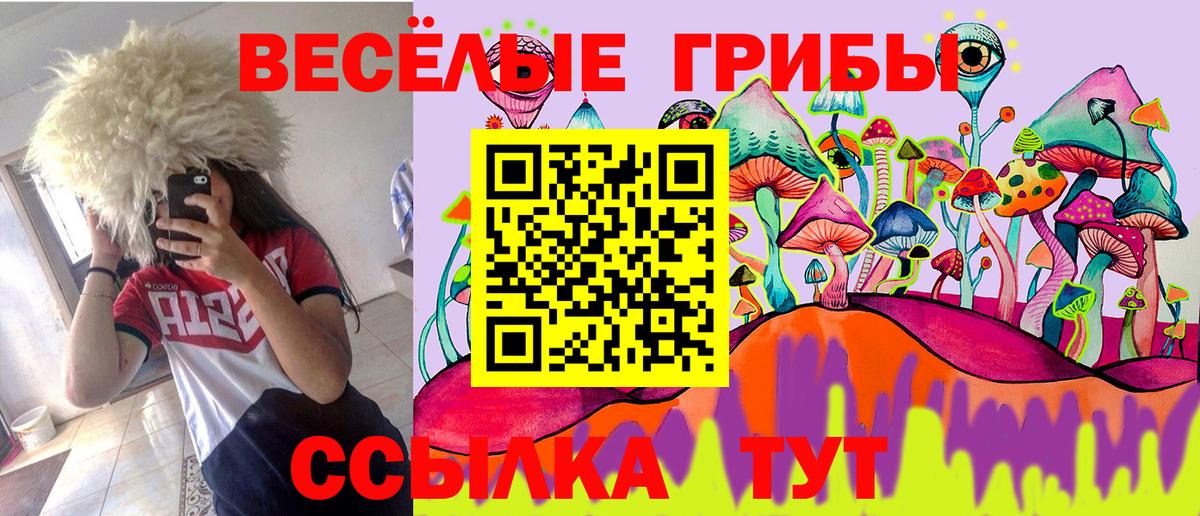 Кисловодск  Галлюциногенные грибы MAGIC MUSHROOMS  Псилоцибиновые грибы мухоморы  Вход с VPN 