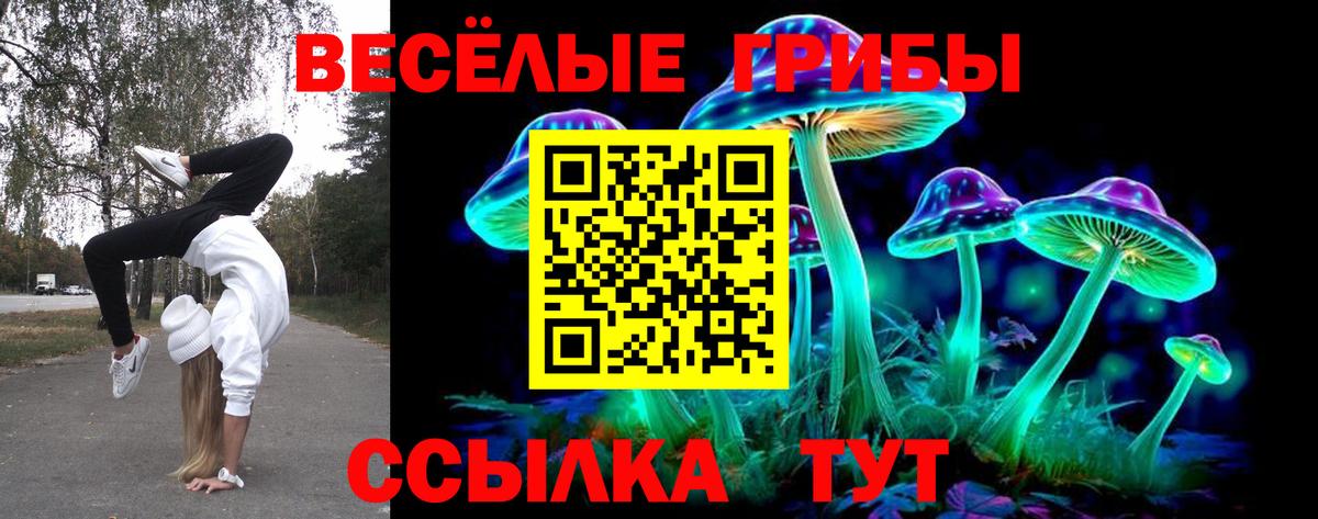 Псилоцибиновые грибы мицелий Кисловодск